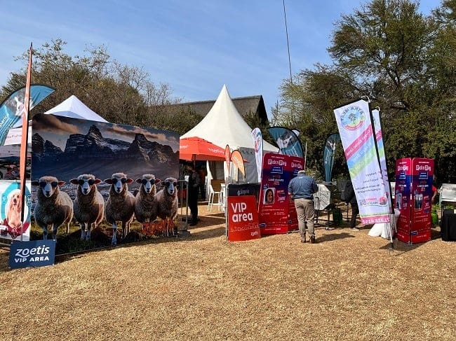 Stalls at Lamb Champs Pretoria 2024